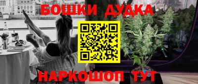 крисы Ливны