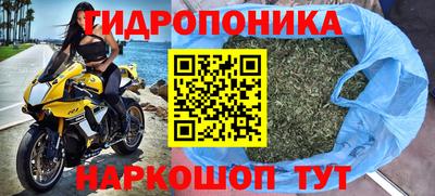 крисы Ливны