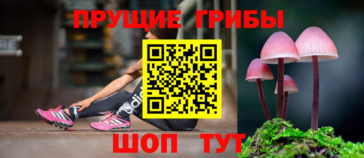 Галлюциногенные грибы Psilocybine cubensis Бутурлиновка